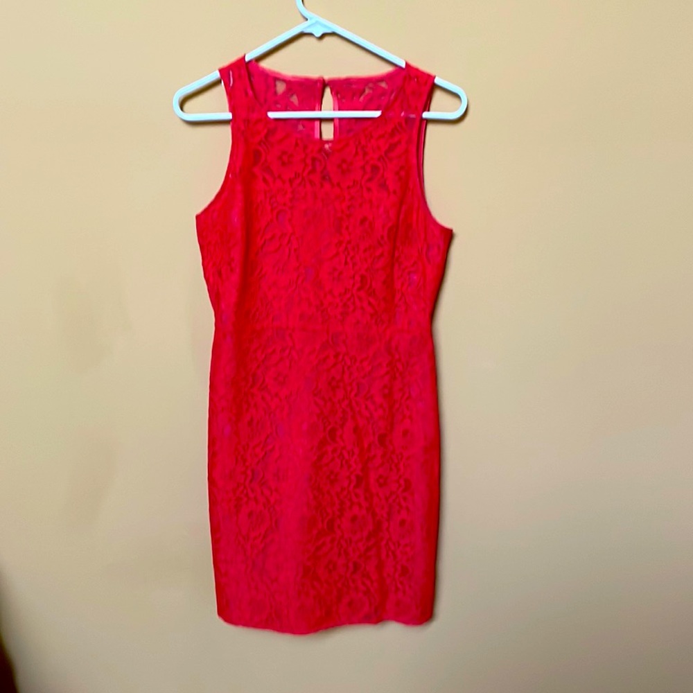 J Crew lace dress size 4
